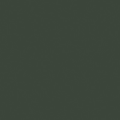 06-Vekaspectral Tannengruen Ultramatt