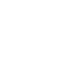 2 no sound